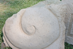 Schnecke
