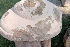 Schnecke