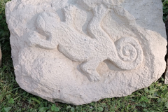 Salamander